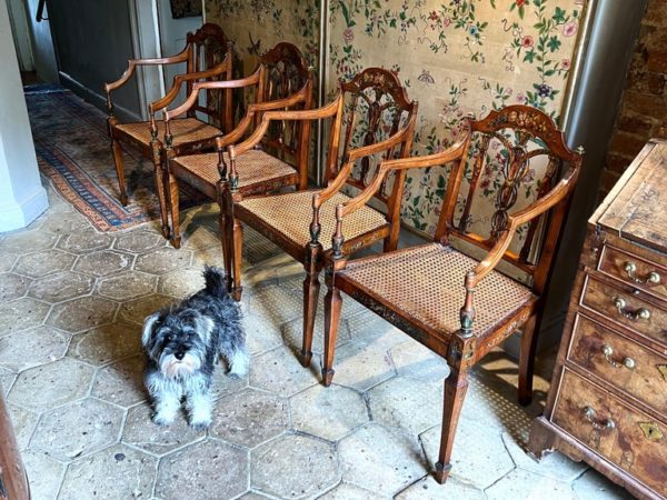 Set of Four 18th Century Satinwood Painted Armchairs, Seddon, Sons & Shackleton - Four