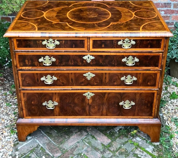 William & Mary period oyster laburnum and walnut chest - Front