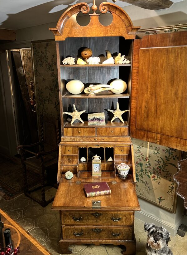 A rare small early-18th century walnut bureau bookcase/ cabinet - inside
