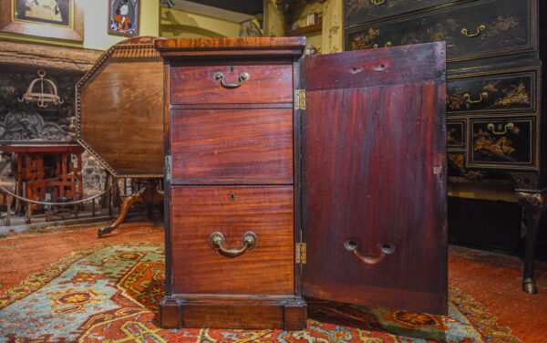 A Fine Pair Of George III Pedestal Cabinets In Mahogany Door