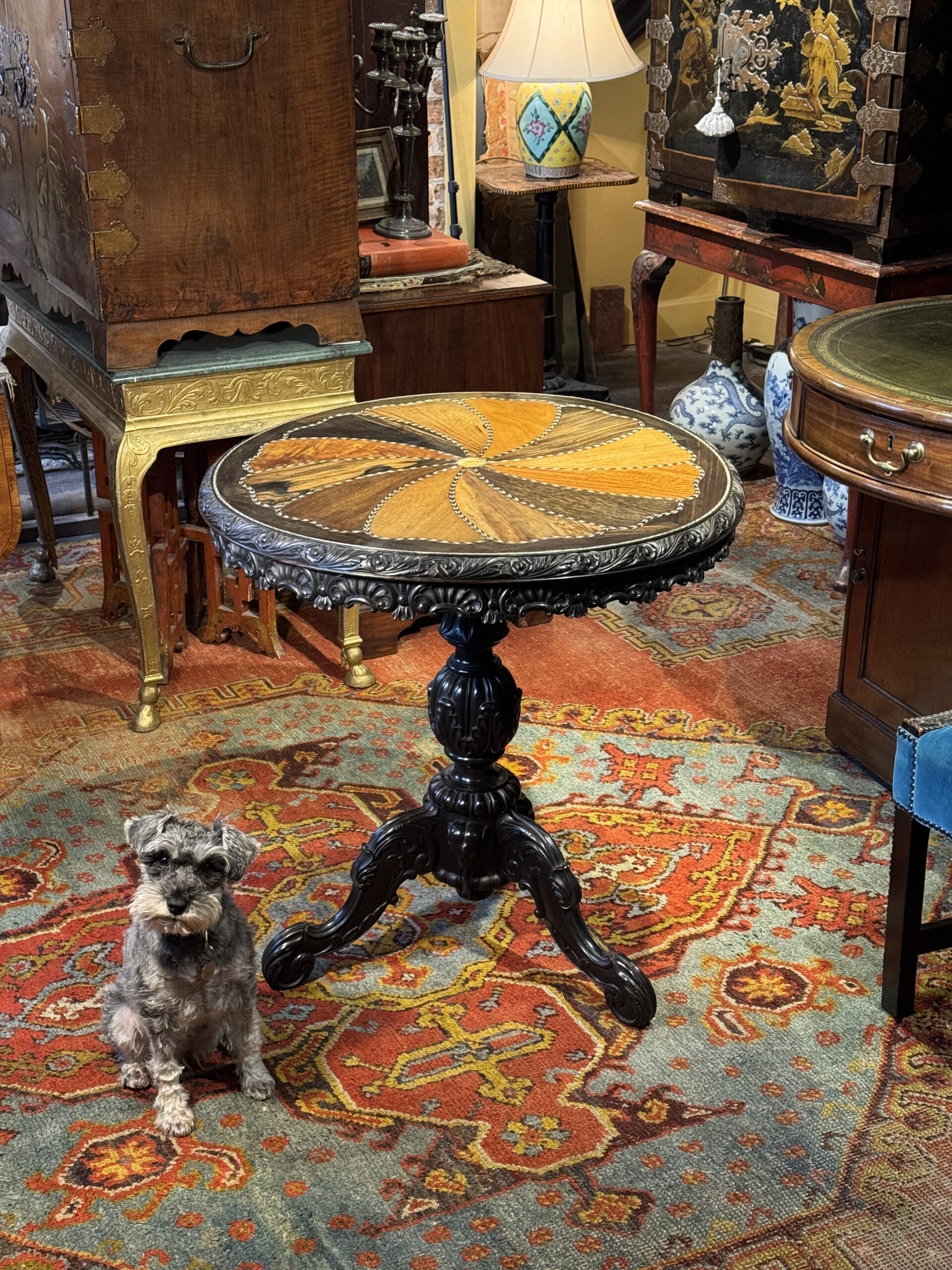 IMG_2824 Fine Ceylonese 19th-Century Specimen Wood Table In Situ